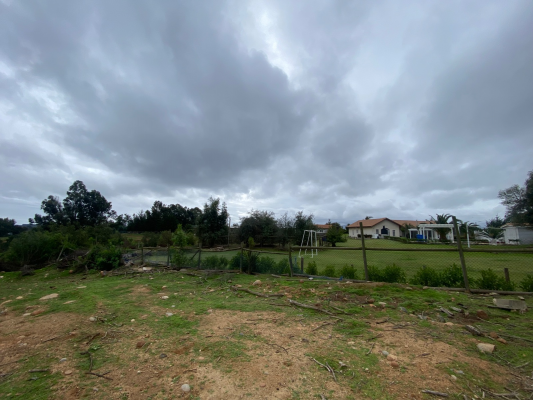 p20253806rn1-8