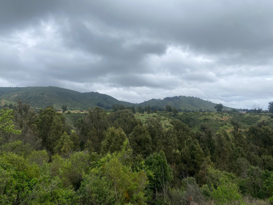 p20253806rn1-9