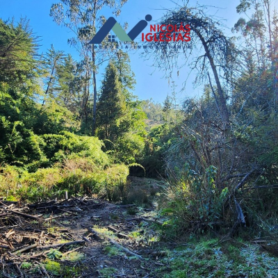 -11