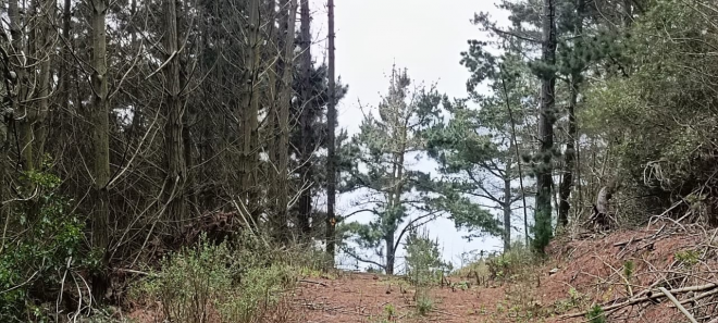 p202538711io-8