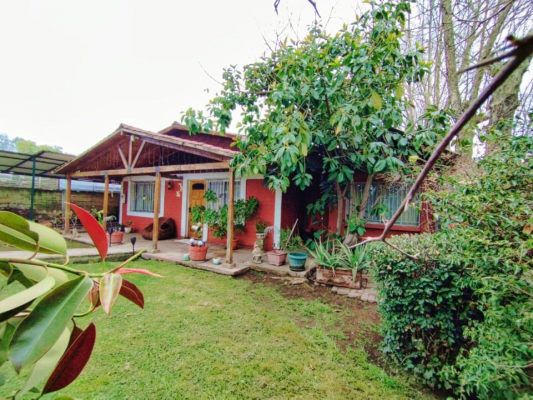 p20253980cef-4