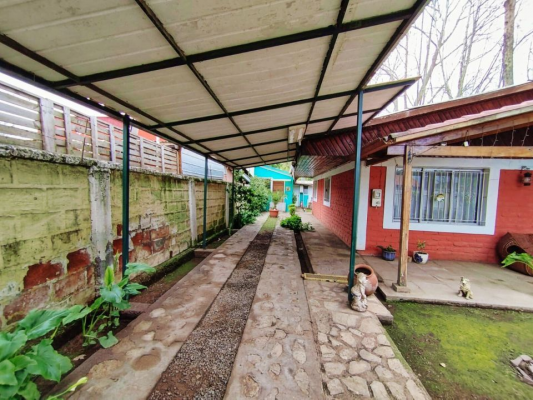 p20253980cef-5