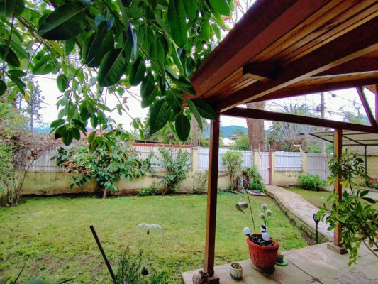 p20253980cef-6
