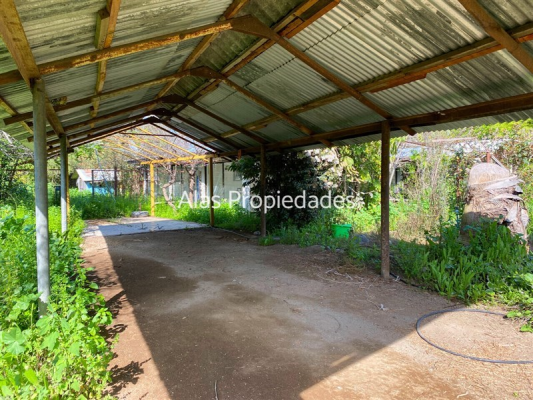 -19