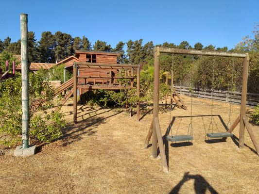 p202540194pi-9
