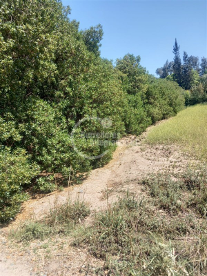 -19