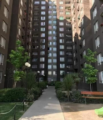 -20