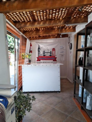 avenida-alcalde-jose-luis-infante-larrain-(74017)-7