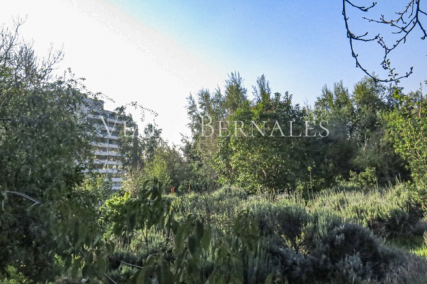 -12