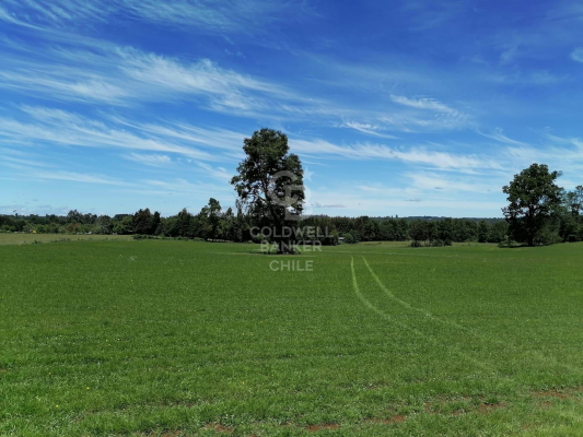 -1