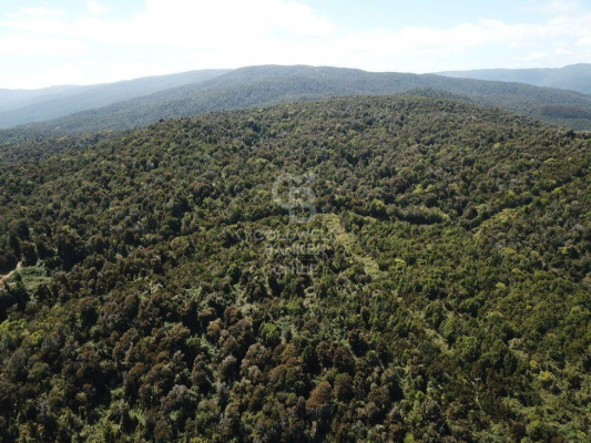 -5