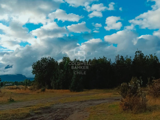 21129-8