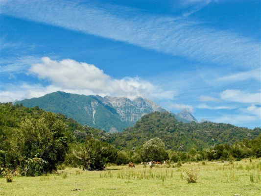 21427-3