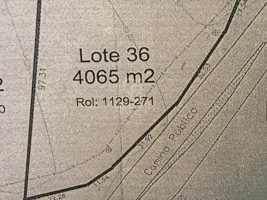 -6