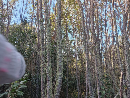 -10