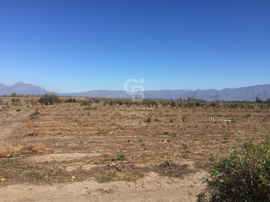 24842-7