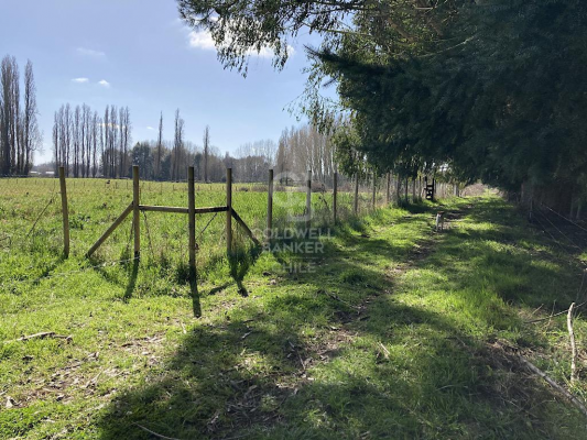 -8