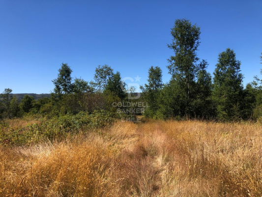 -9