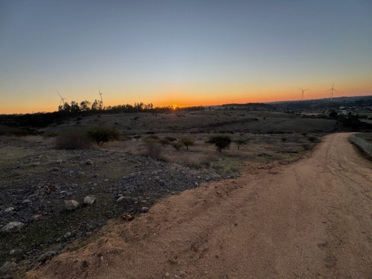 114101713-8