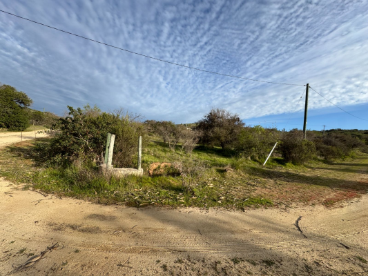 p20254211txy-6