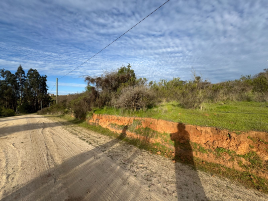 p20254211txy-9