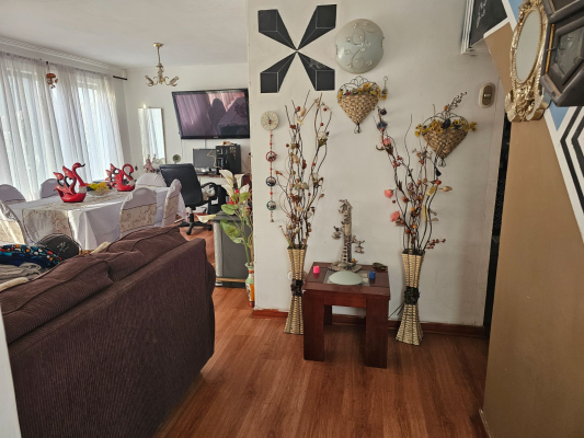 p20254221zso-3
