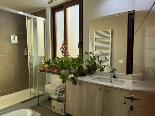 -20