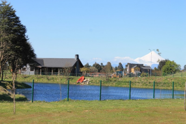 -12