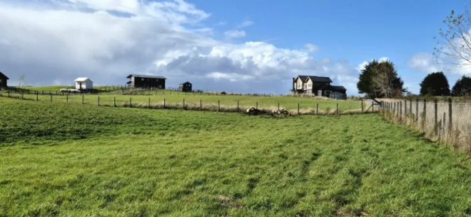 -11