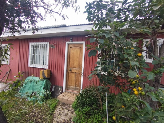101012656-6