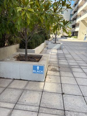 p202543550bv-9
