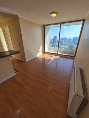 p202544038dn-9