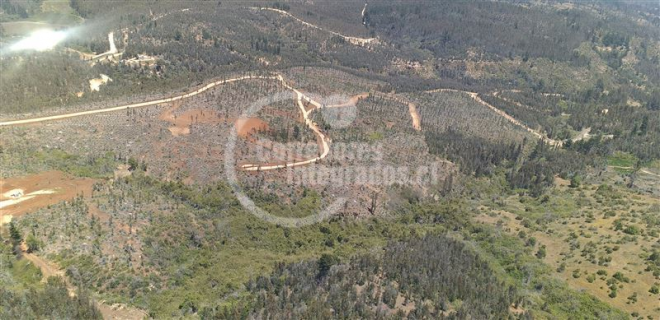 114075338-6