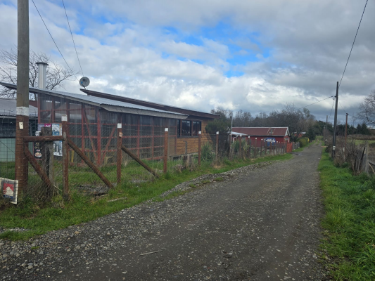 p202538166u7-4