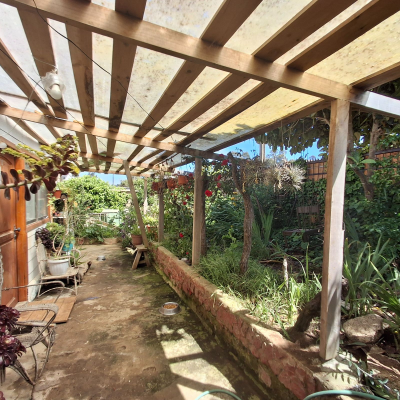 p20254501swj-4