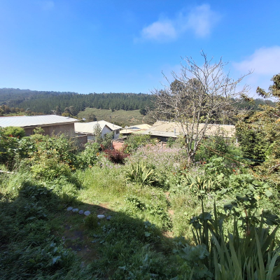 p20254501swj-5