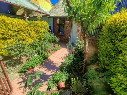 p20254531tl0-3