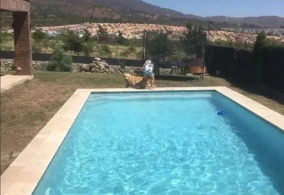 -4