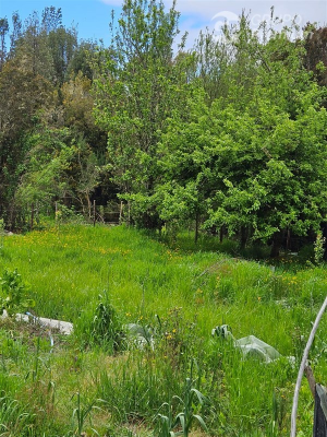 114072648-3