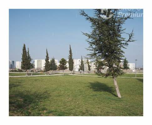 -20