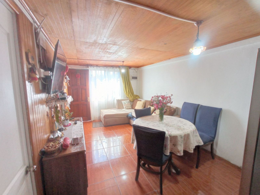 p202546237zj-3