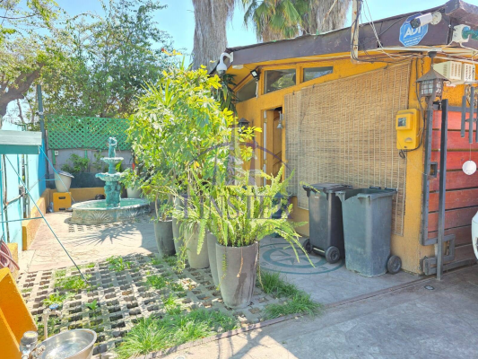 p20254645gy3-7