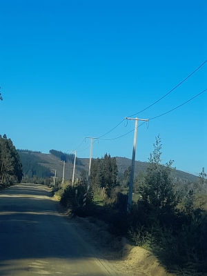 -12