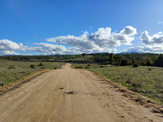 p20254595br7-9