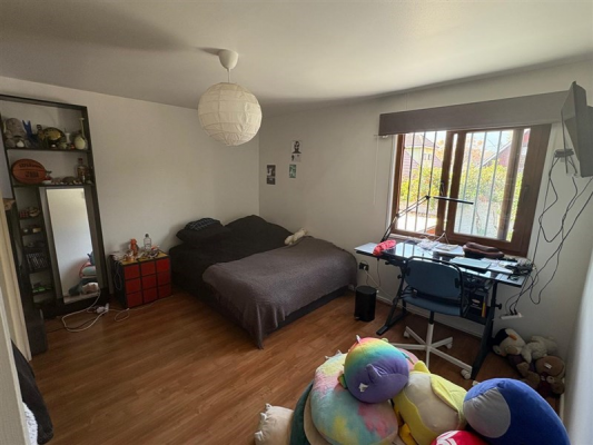 -20
