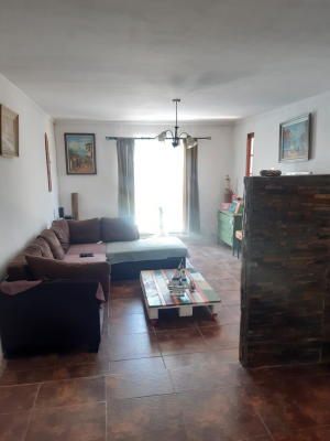 irene-frei-(73963)-3