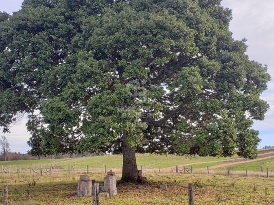 19973-4