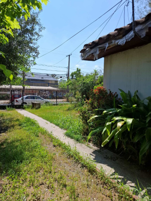 p20254804xjw-4