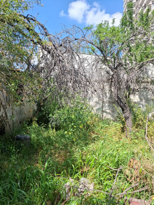 p20254804xjw-5