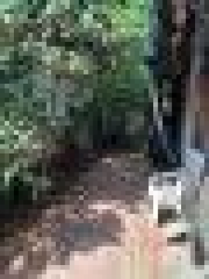 p20254804xjw-6